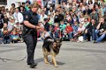 Polizeishow   041
